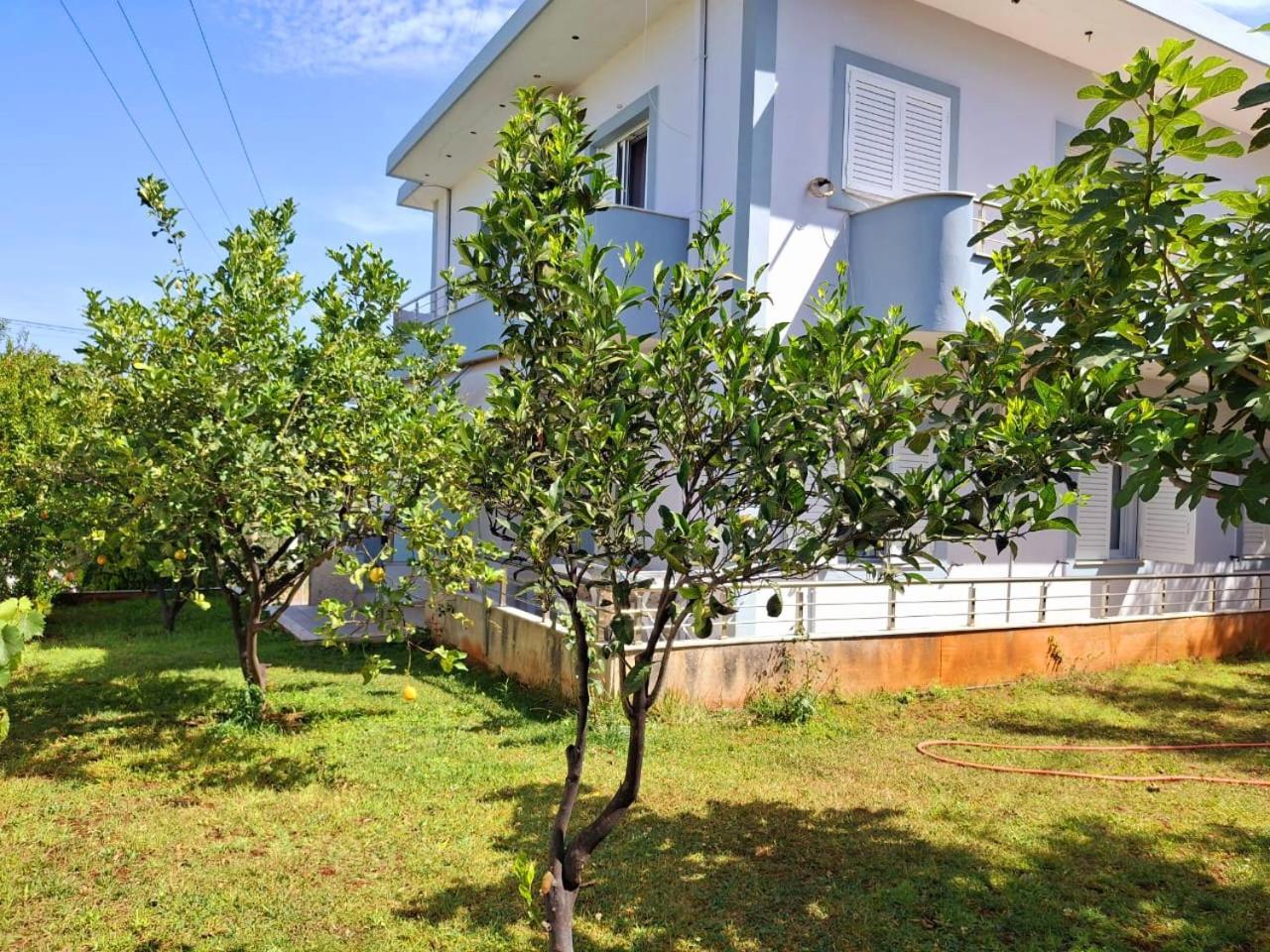 Myksamil Apartments الغرفة الصورة