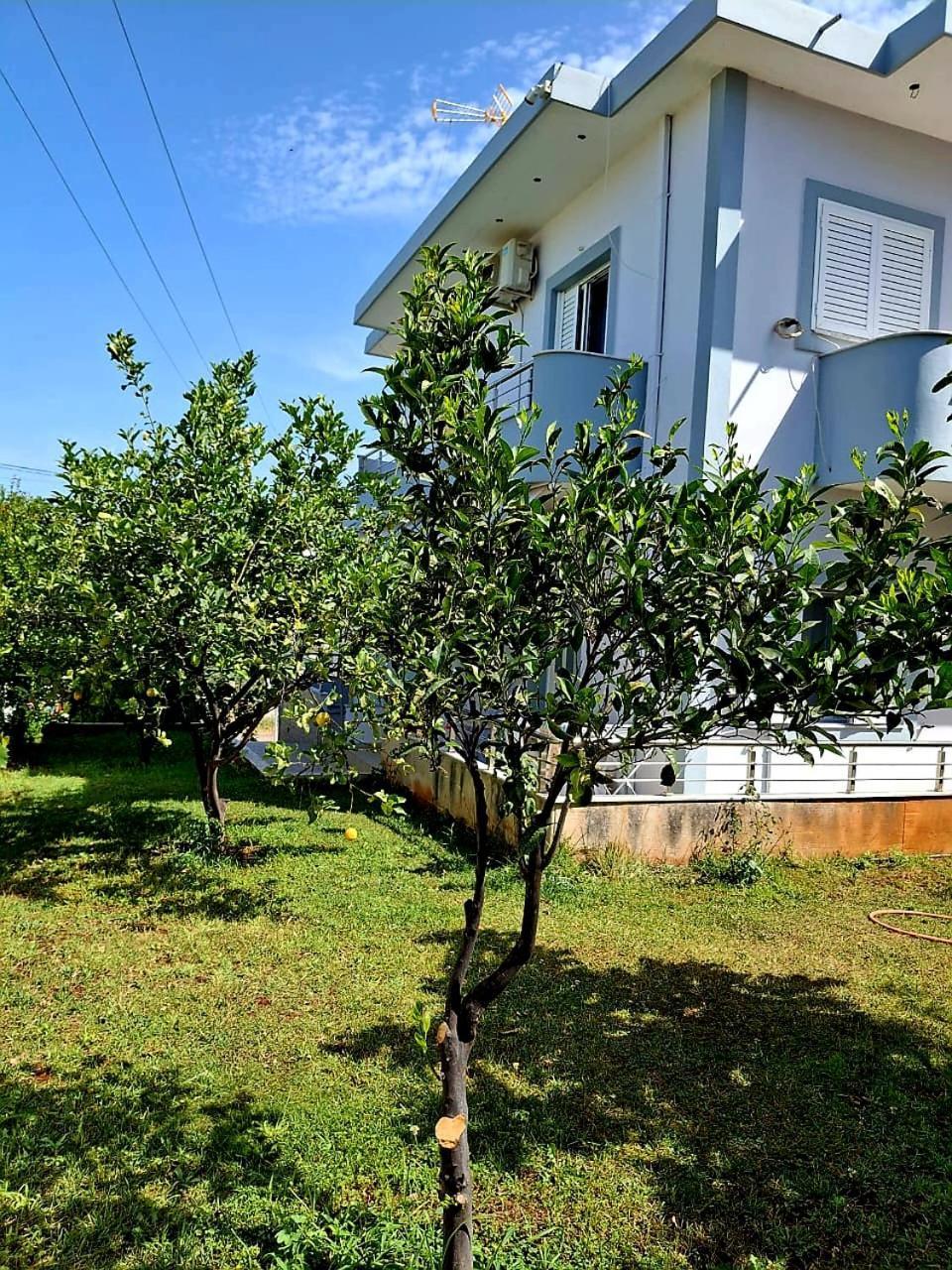 Myksamil Apartments المظهر الخارجي الصورة