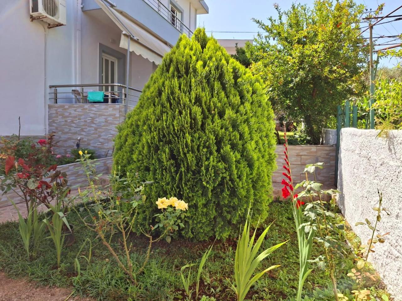 Myksamil Apartments المظهر الخارجي الصورة